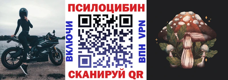 kraken ссылки  Астрахань  Псилоцибиновые грибы ЛСД 